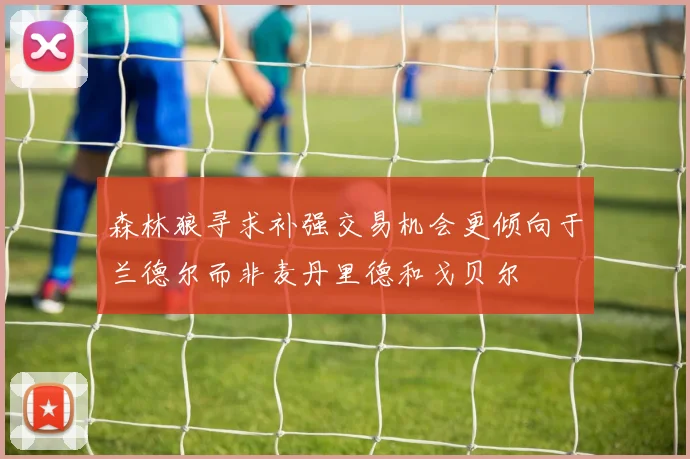 森林狼寻求补强交易机会更倾向于兰德尔而非麦丹里德和戈贝尔